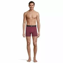 Ripzone Men's Icon Boxer Brief - 2 Pack -NIKE FGL 333783995 90 c 79012R31